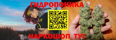 тгк Кинель