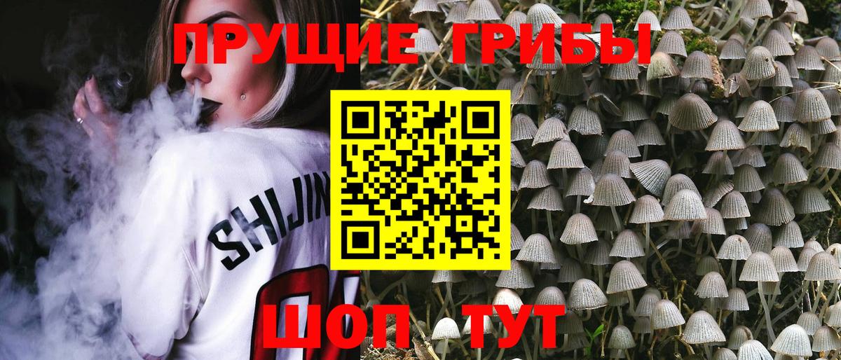 Псилоцибиновые грибы прущие грибы  Вход с VPN  Кимовск 