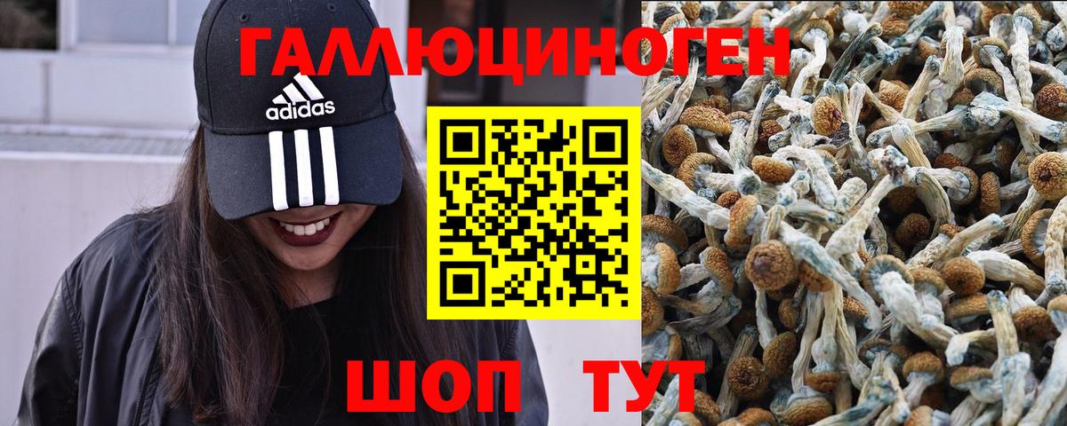Галлюциногенные грибы GOLDEN TEACHER Кимовск